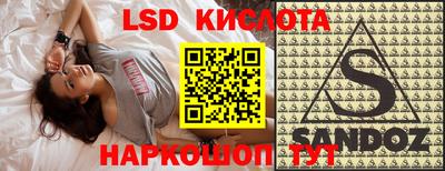 амф Камышлов