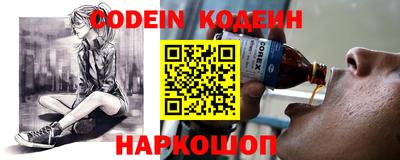 амф Камышлов